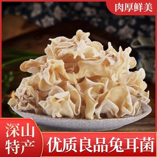 白玉木耳干货500克 白木耳干货银耳大兔耳菌竹耳菌竹子菇特产 包邮