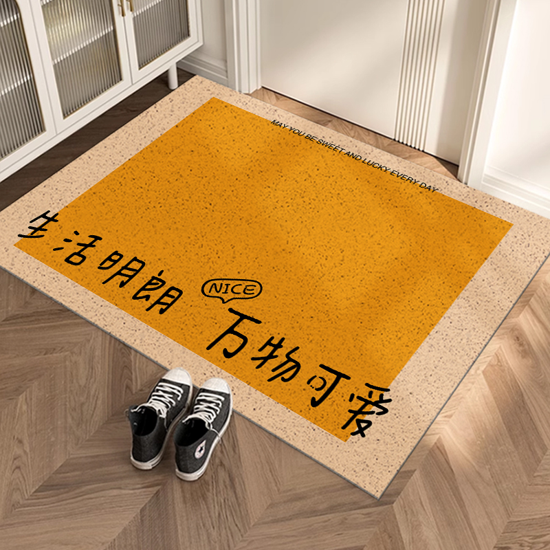 简约入户门垫家用门口进门脚垫pvc防滑地垫刮泥蹭土丝圈地毯垫子