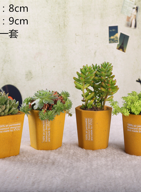 老盆友透气花盆0809会呼吸的XTOU多孔陶瓷小清新多肉度夏黑腐新奇