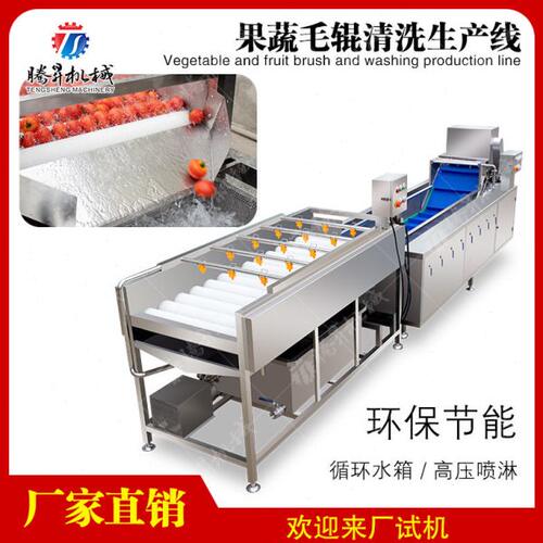 商用西红柿土豆清洗机 鼓泡式果蔬清洗生产线 全自动喷淋生产线