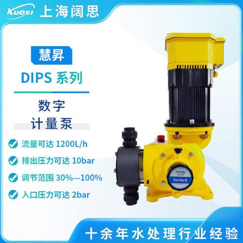 慧昇泵业智能数字式隔膜配料泵机械隔膜计量泵DIPS M/B型加泵