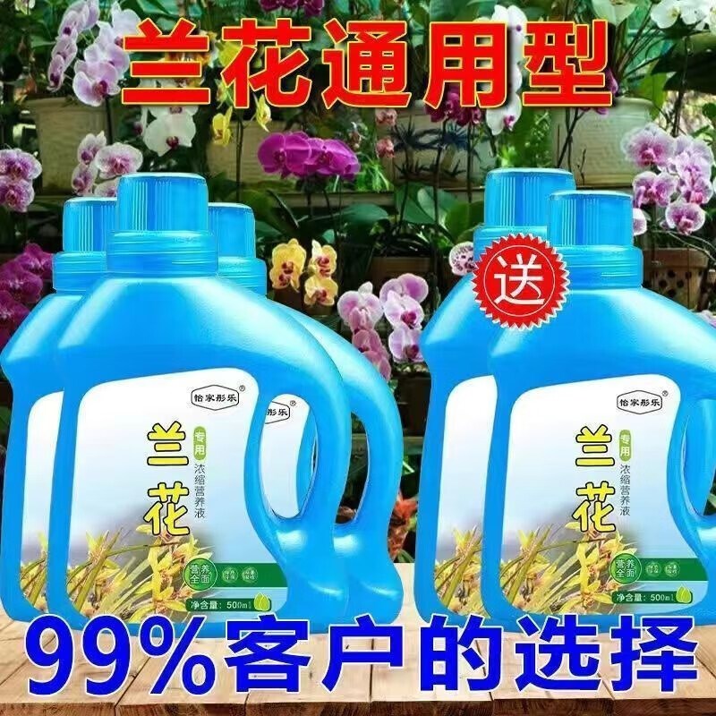 兰花肥料肥黄叶黑斑烂根叶尖发黑急救君子兰黄叶病营养液