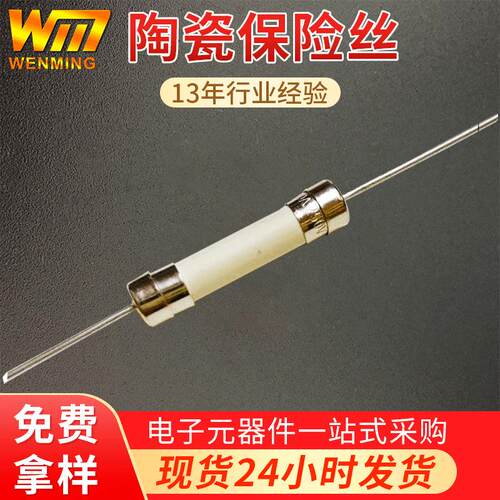 供应20A30A慢断型陶瓷保险管 6X30熔断器双帽引线陶瓷保险丝管