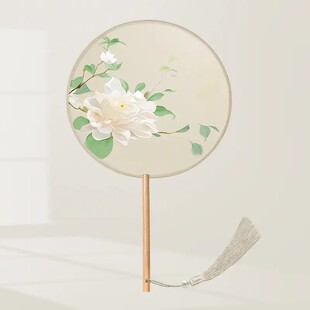 丝质半透团扇文艺宫扇舞蹈拍照通用日常携带女汉服旗袍扇子古风