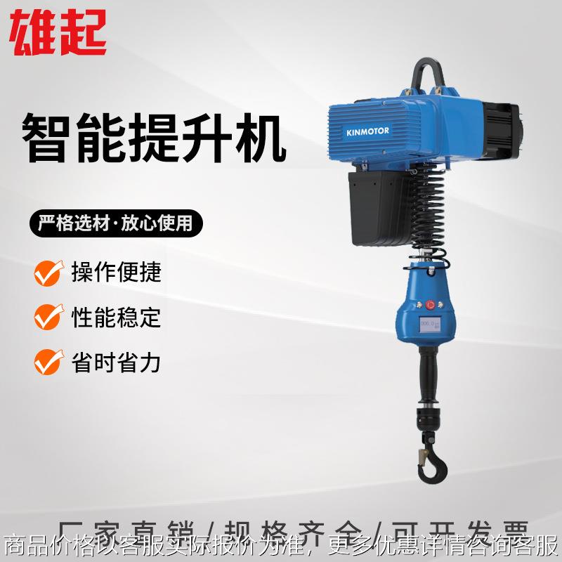 3系列智能平衡吊吊臂 全电动环链葫芦250轻型起重机