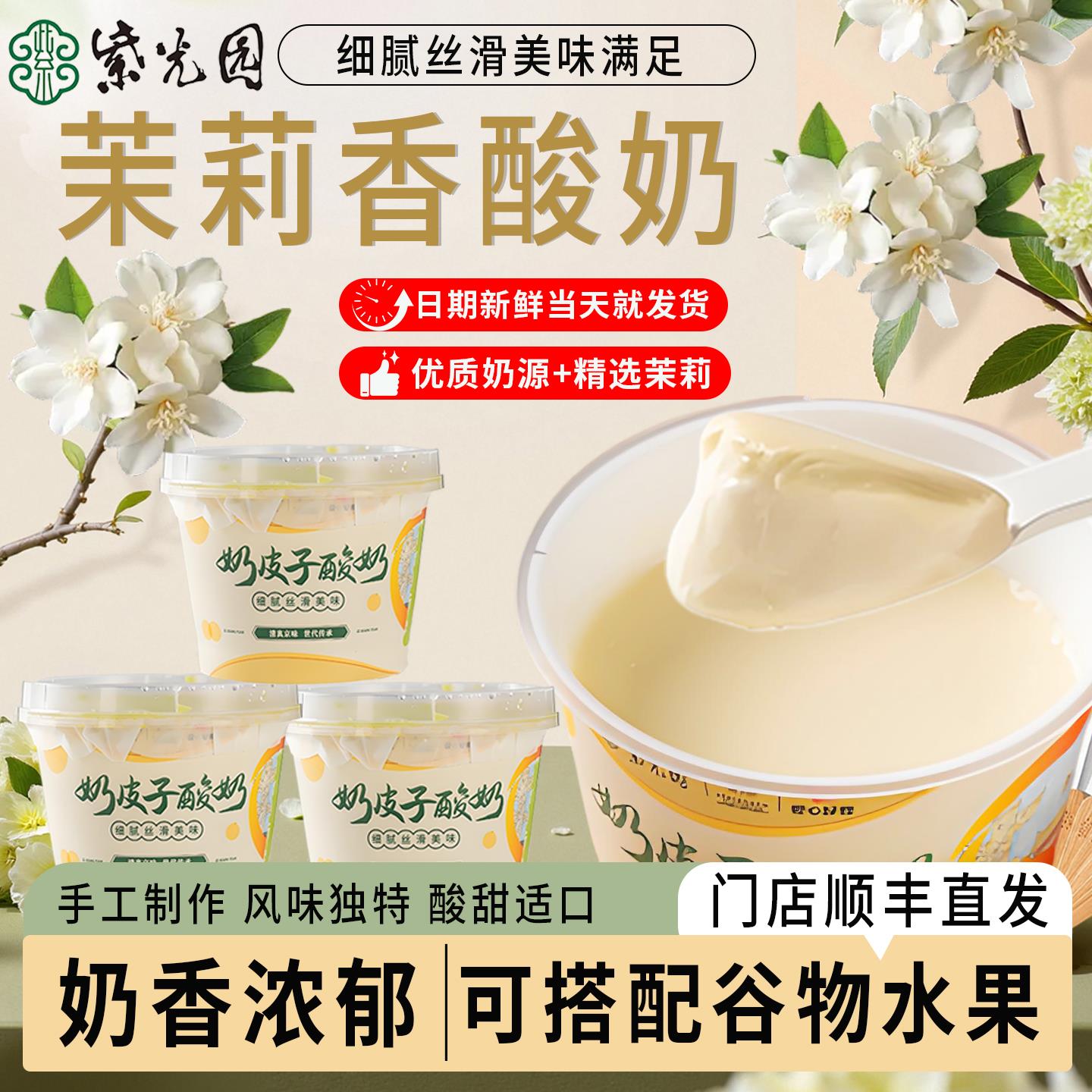 【茉莉口味】北京紫光园奶皮子酸奶特产旗舰店美食顺丰冷运包邮