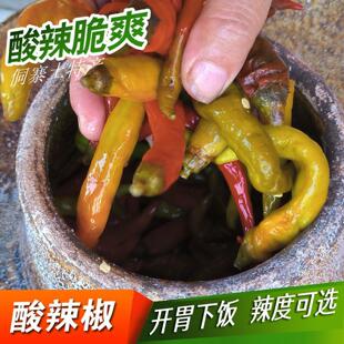 湖南怀化芷江农家酸辣椒泡椒庵辣暗辣按辣脆爽肉厚新鲜无添加