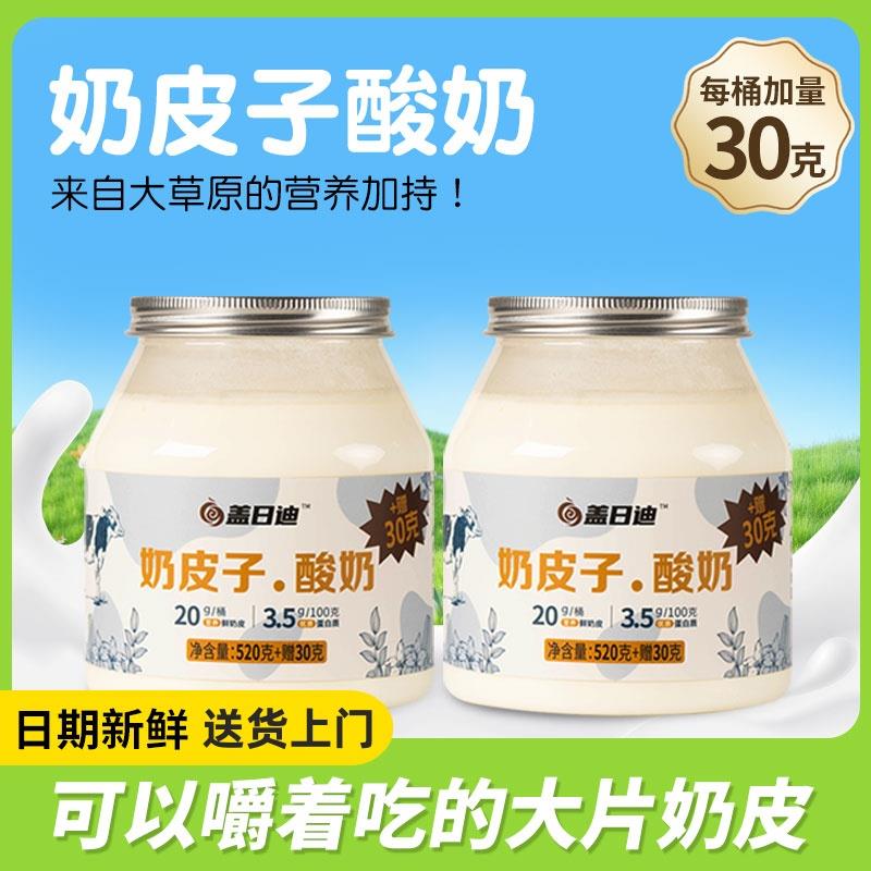盖日迪鲜奶皮子酸奶无添加剂550g内蒙古特产草原活菌单罐发酵