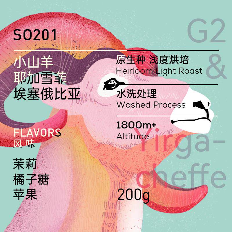 玫瑰咖啡 小山羊 柯契尔 埃塞系列耶加雪菲新鲜烘焙 手冲咖啡豆