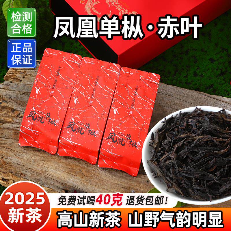 潮州凤凰乌岽单丛赤叶高山头春头采新茶浓香单枞乌龙茶泡袋礼盒装
