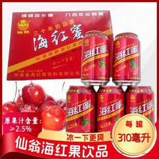 山西河曲特产仙翁海红蜜果汁型碳酸汽水饮料海红果汁310ml饮品