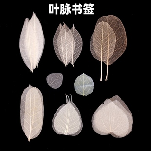 叶脉书签真树叶diy材料自制作去叶肉小学生儿童手工课堂礼物装饰