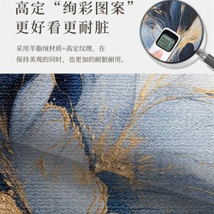 高级感入户地垫门口地毯门垫家用进门脚垫玄关入户门垫子2024新款