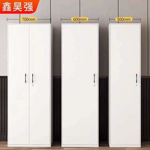 小户型衣柜阳台柜钢制家用单门收纳柜储物柜置物O柜窄衣柜带锁50c