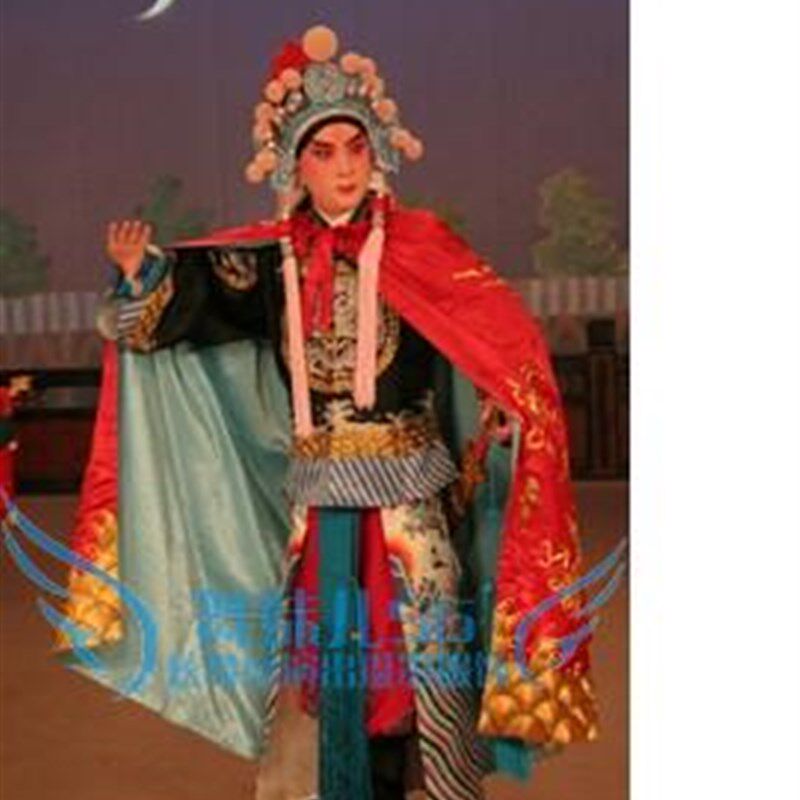 戏曲戏服配件斗篷全金绉大缎帔风男角武生小生监酒令刘章专用包邮