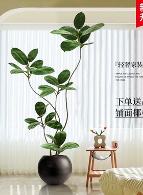 高级感仿真绿植黑金刚橡皮树室内沙F发旁假植物仿生盆栽落地摆件