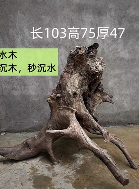 朽木枯木摆件老木头沉水木乌木类朽木侘寂风老物山泥里出土的古木