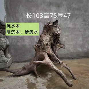 朽木枯木摆件老木头沉水木乌木类朽木侘寂风老物山泥里出土的古木