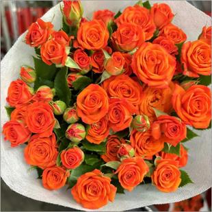 多头小玫瑰泡泡云南直发鲜花花束速递同城苏菲宝贝家用教师节礼物