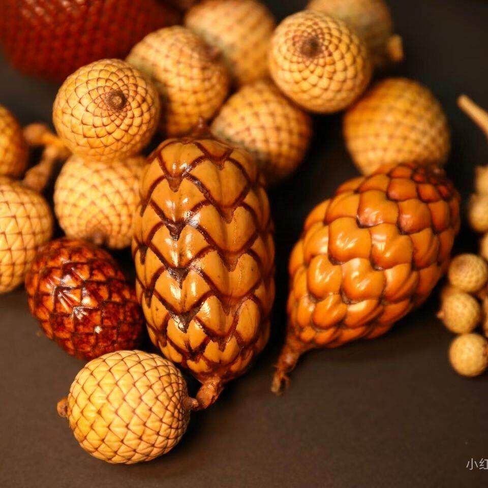 【酒椰果】棕榈科被有鳞片天然植物标本果子diy手工材料装龙鳞果
