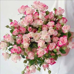 折射多头泡泡玫瑰花云南昆明基地鲜花速递同城百合花束情人节包邮