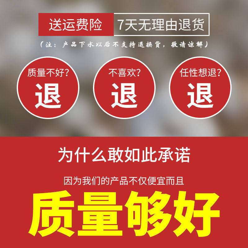 CC涤棉夏季加厚l老粗布床单双人床单单件棉床单单人被单粗布凉席