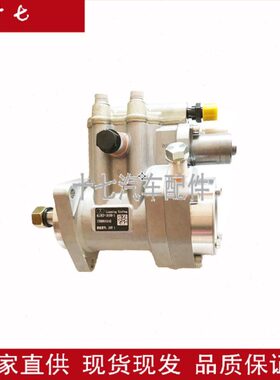 新风电喷共轨柴油泵4L22CF-10100-3/4L18CF-10100-1莱动福田黑豹