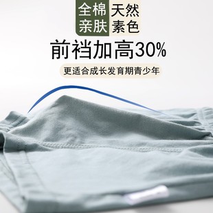 4條裝 學生舒適四角褲 衩中大童胖兒小孩柔軟褲 頭 全棉男童平角內褲
