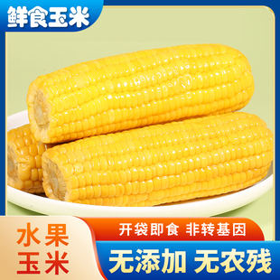 开袋即食鲜食水果玉米10根*240g
