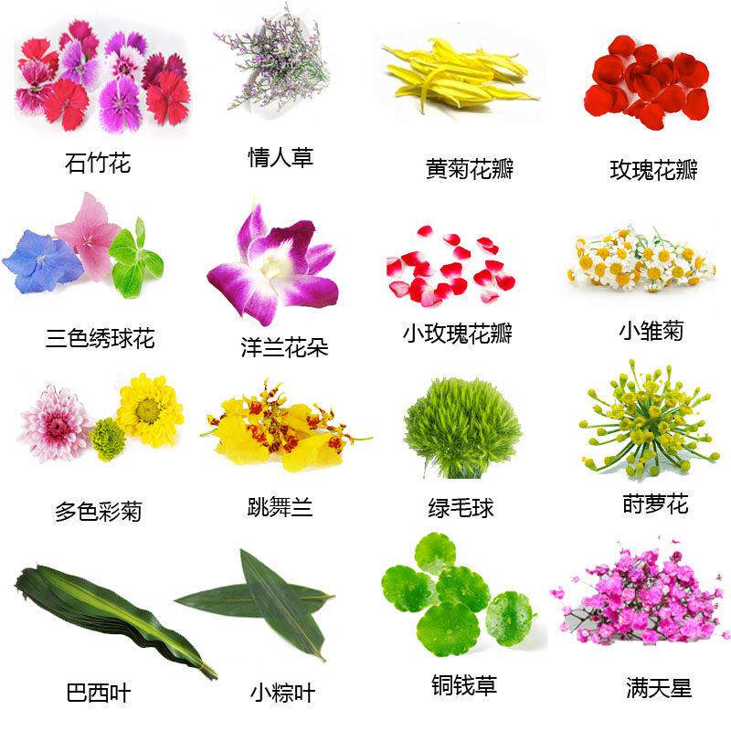 新鲜西餐厅摆盘花草蛋糕