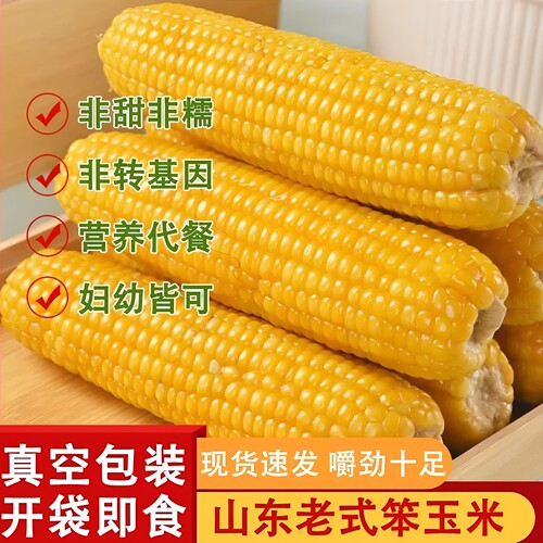 山东老式黄玉米棒非转基因有嚼劲