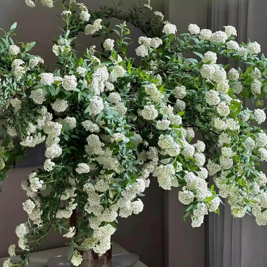小手球鲜花云南直发室内水培插花白色菱叶绣线菊重瓣鲜切花绿植