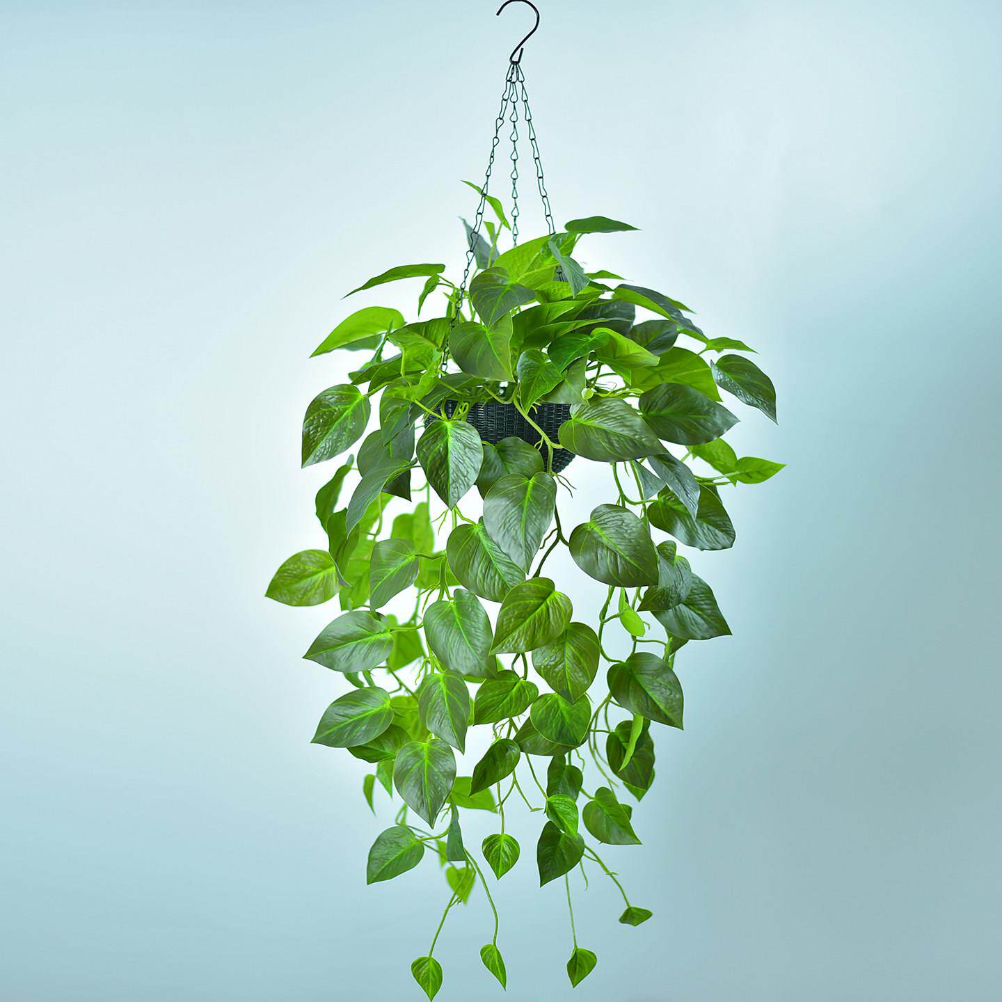 彷真黄金葛吊兰盆栽绿植装饰植物假花藤条藤蔓塑料花吊篮室内墙壁