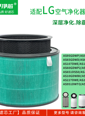 适配LG/Puricare360空气净化器滤芯AS60GDWP2/U9CS1C/AS951DWT0