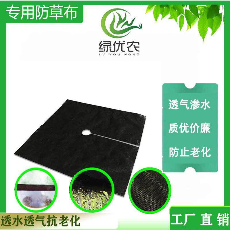 三到五年编织果园防草布保温保湿透水透气抗老化防草布厂家直发,农机/农具/农膜,农用防草地布/除草布,淘宝优惠券,粉丝福利购,淘宝优惠卷