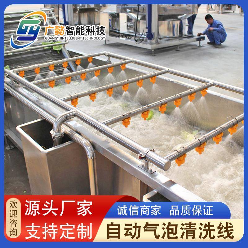 果蔬气泡清洗机设备全自动芹菜土豆清洗机不锈钢胡萝卜清洗机