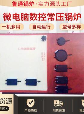 大棚蔬菜水产养殖燃煤数控采暖锅炉宾馆酒店数控常压锅炉