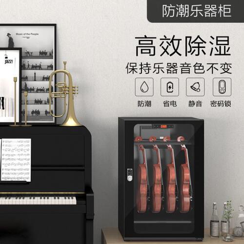 LENTHEM领顿带密码锁干燥箱防潮乐器柜229 加厚钢制小提琴除湿柜
