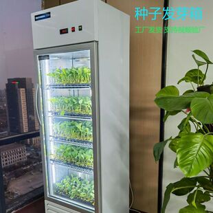 种子恒温发芽箱箱保温箱电热家用全自动培养箱催芽箱保温育苗植物