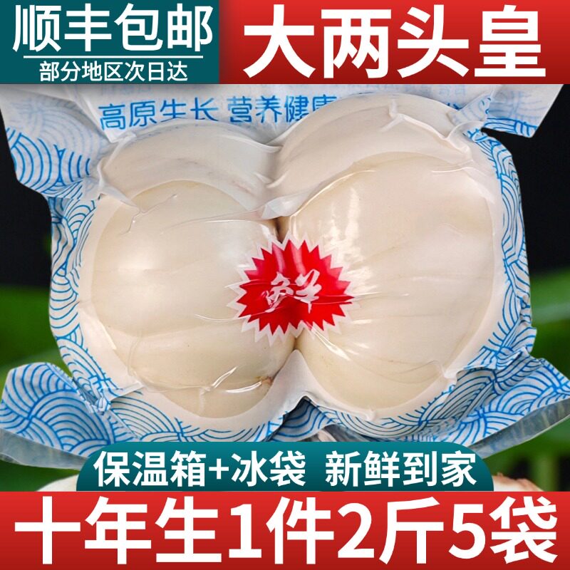 兰州新鲜百合新挖甜百合食用甘肃特产特别级非百合干鲜百合旗舰店