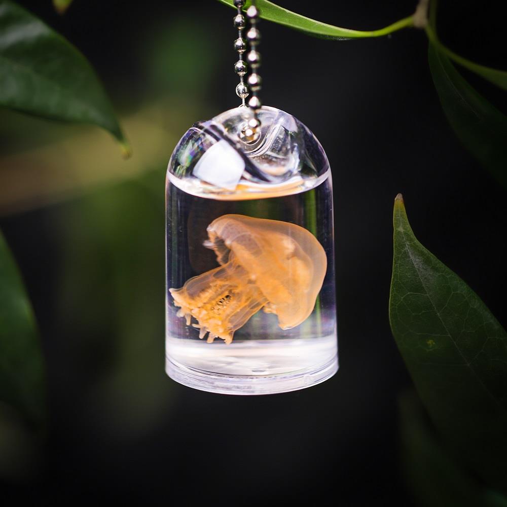 真水母许愿 瓶 原创海洋瓶赤月水母标本彩色高透书包挂件钥匙炼