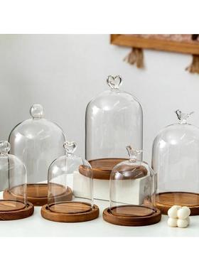 永生花防尘玻璃罩 彷古木底座花房黏土手办泡泡马特 顶饰香薰烛罩