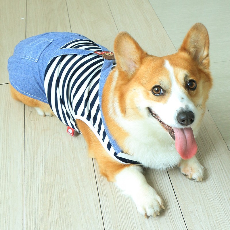 狗狗衣服加绒春秋款幼犬宠物秋冬可爱防掉毛中型犬小型犬柯基泰迪图片