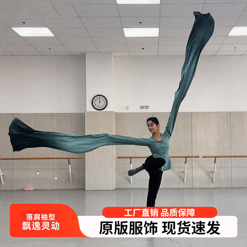 成人水袖古典舞练功服飘