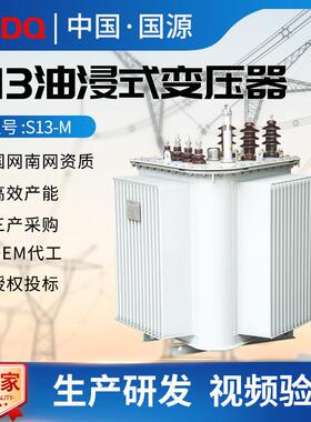 国源S13电力变压器10KV全铜全铝密封三相工业250kva油浸式变压器