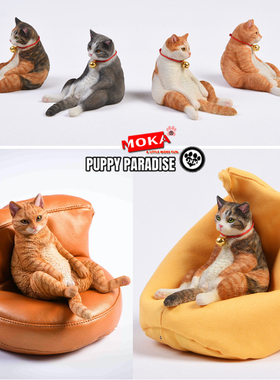 【JXK】官方正品 美国短毛猫咪 JXK 懒猫系列模型 治愈.系摆件礼