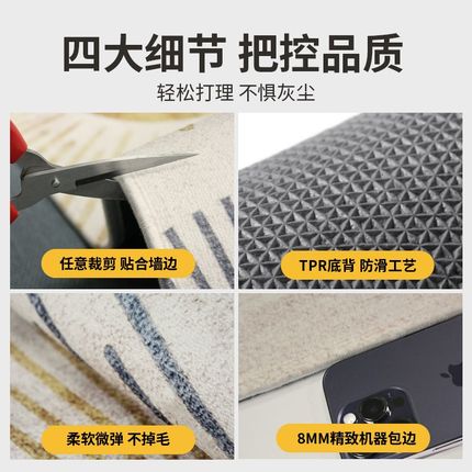 新款入户门地垫家用地毯门垫进门简约现代大门口脚垫室内玄关垫子