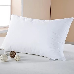 60x85/65hx80 85 90 100大号靠枕芯床头沙发办公室抱枕靠垫芯一只