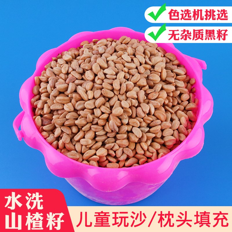 山楂籽玩具d沙大颗粒代替决明子可水洗儿童沙子挖沙游乐场沙100斤