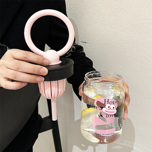 高硼硅H玻璃吸管杯茶水分离泡茶杯 水杯玻璃杯女生高颜值2024新款